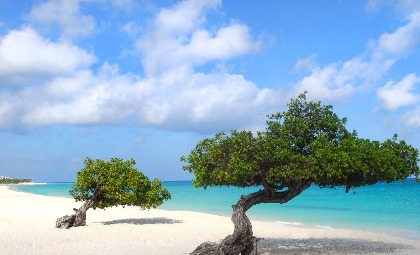 Eagle beach op Aruba